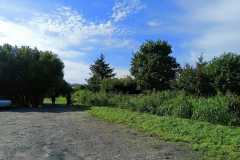IMG-20230822-WA0008
