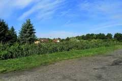 IMG-20230822-WA0009