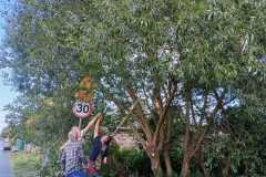 IMG-20230822-WA0011