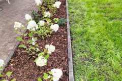 IMG-20260906-WA0002