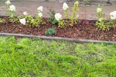 IMG-20260906-WA0017