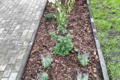 IMG-20260906-WA0029