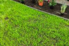 IMG-20260906-WA0034