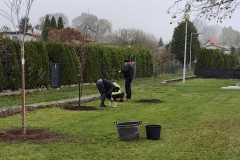 IMG-20241110-WA0009