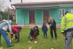 IMG-20241110-WA0053