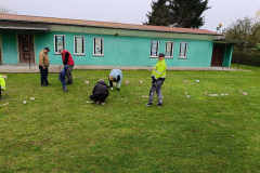 IMG20241110123234
