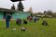 IMG20241110123354