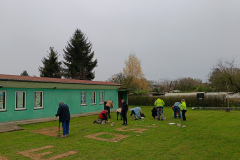 IMG20241110132611