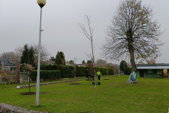IMG20241110140456