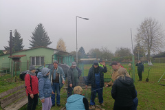 IMG20241110142101