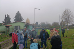 IMG20241110142102