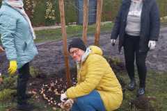 IMG-20251119-WA0008