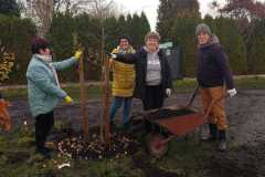 IMG-20251119-WA0009