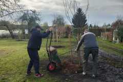 IMG-20251119-WA0029