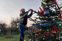 IMG-20251214-WA0018