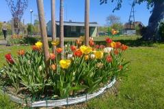 700800092_908952435538854_5524060177148412479_n