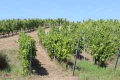 IMG-20260816-WA0015