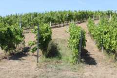 IMG-20260816-WA0023