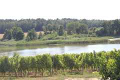 IMG-20260816-WA0026