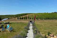 IMG-20260816-WA0034