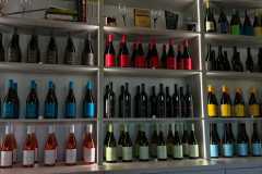 IMG-20260816-WA0036